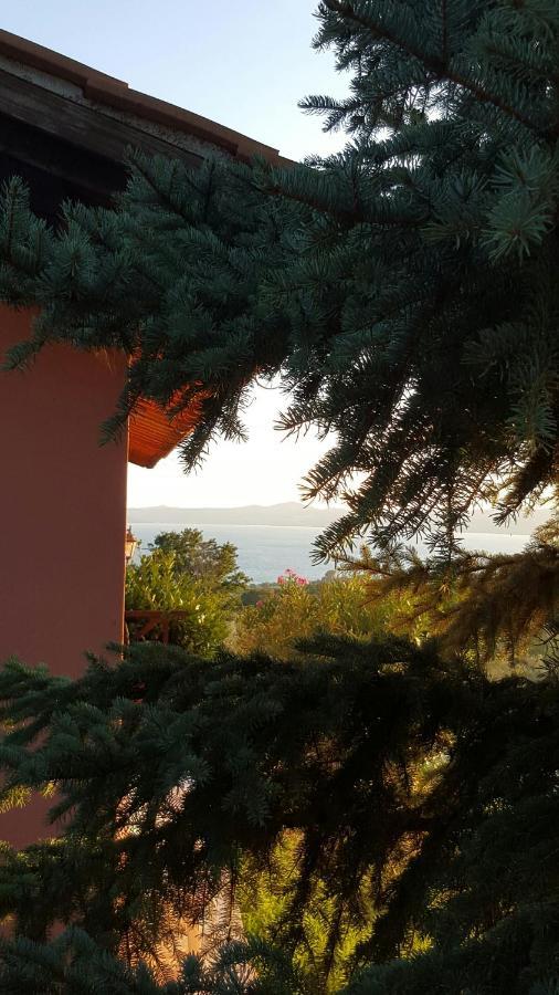 Casale Citerno Leilighet Bolsena Eksteriør bilde