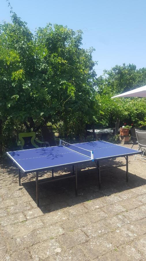 Casale Citerno Leilighet Bolsena Eksteriør bilde