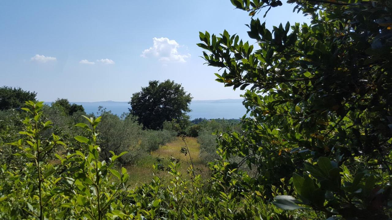 Casale Citerno Leilighet Bolsena Eksteriør bilde